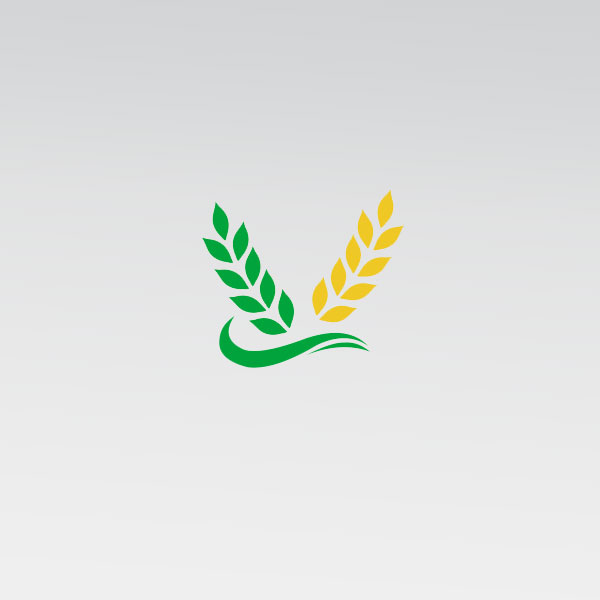  Реєстрація на підготовчі курси СНАУ