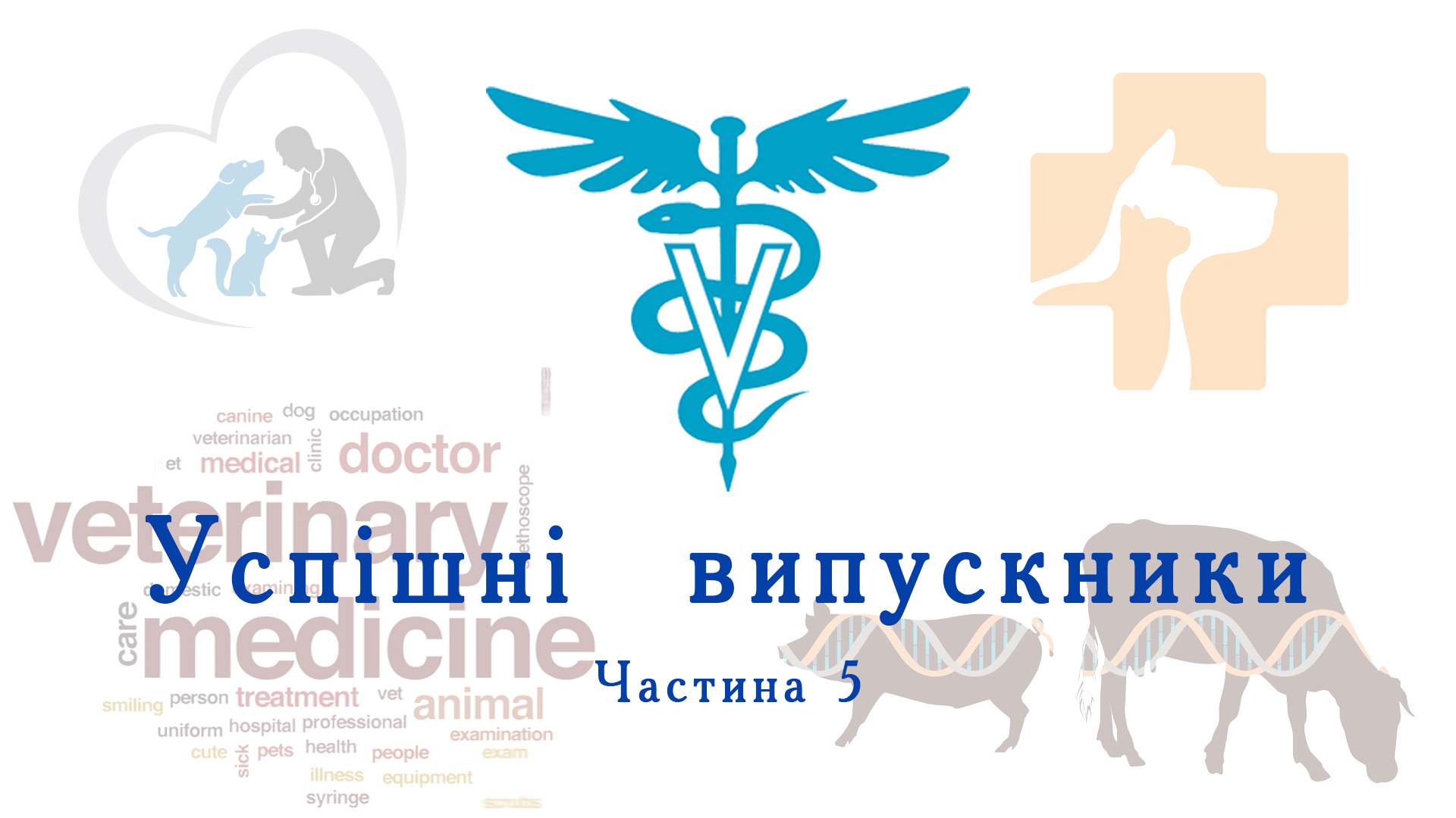  Успішні випускники. Частина 5